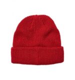 FOX REFORMED BEANIE [CHILI] - Image 2