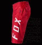 FOX DEMO SHORT [BRT RD] - Image 4